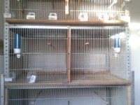 /album/instala%c3%a7%c3%b5es-de-cria%c3%a7%c3%a3o-2013/a2013-01-10-16-39-40-jpg/